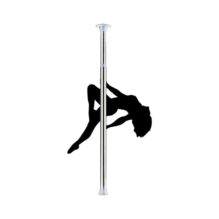 Varão Professional Dance Pole Prateado
